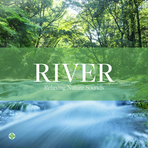 Gentle Stream Sound (Nature Sound)