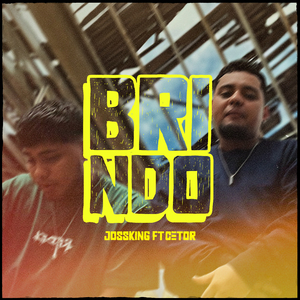 Brindo