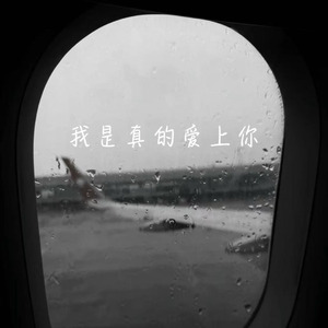 我是真的爱上你(沧桑版)