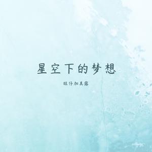 星光下的梦想 (EMO版)