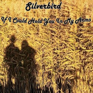 If I Could Hold You in My Arms