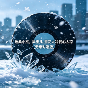 雪花太冷我心太凉（无奈对唱版）