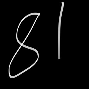 81