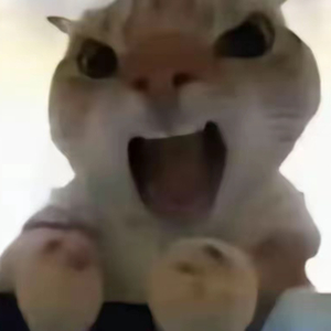 风是甜的