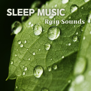 평온한 밤 (밤빗소리)