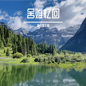 放难念执