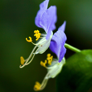 Спасение во Христе
