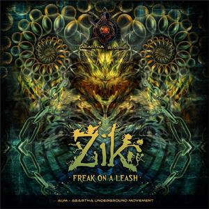 zik - hey baba A.U.M. (Agartha Records Digital Promo Release 2015)