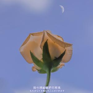 会不会（女生完整版）