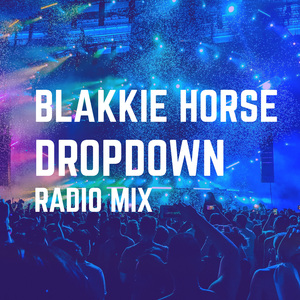 Dropdown (RADIO MIX)