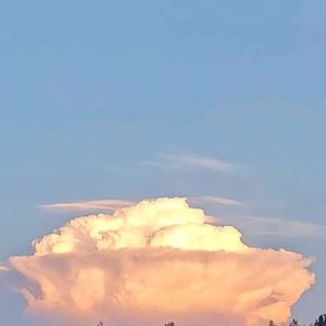 永恒的画_小猕猴哥