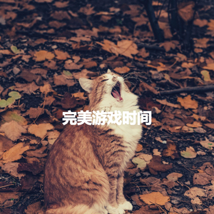 Superlative Midnight Journeys