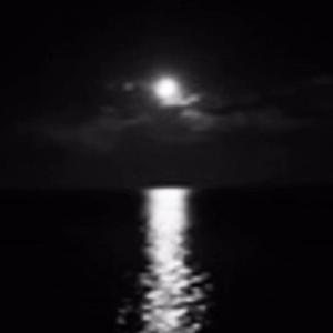 H.E. (Hustling Everyday) (feat. Ace The Outcast)