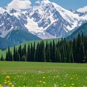 流光花火（轻音乐）