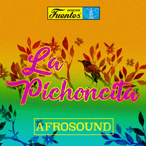 Afrosound Nro. 1: el Guayabo de la Ye / el Pavido Navido / el Polvorete / el Turco Perro (Instrumental)