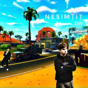 Nesimțit