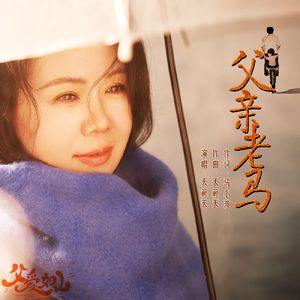 父亲的这驾马车 天籁天 伴奏