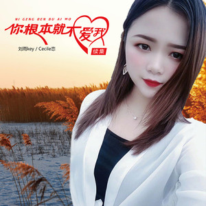 你根本就不爱我2