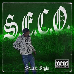 S.E.C.O.