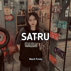 Satru (Remix)