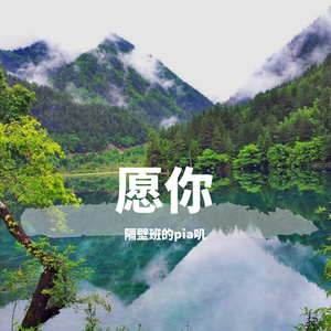 愿你