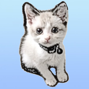 ずっとこれから