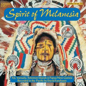 Timbunke Garamut Drums