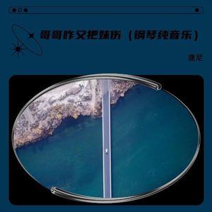 泪蛋蛋掉在酒杯杯里 (钢琴纯音乐)