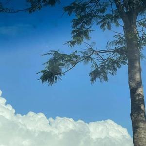 我的纸飞机(释怀版)