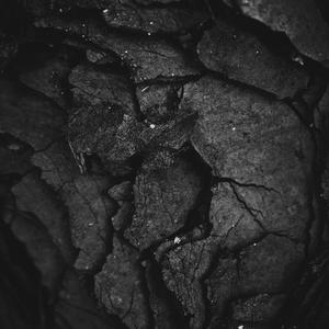 Carbon