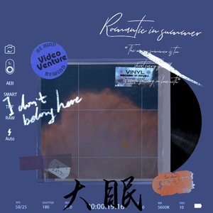 那年夏天宁静的海