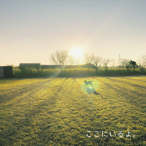 ここにいるよ。