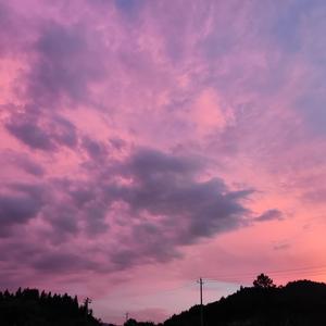 秦淮河边的陈年往事