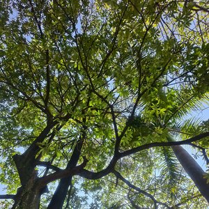 不要忘记我爱你