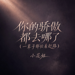 你的骄傲都去哪了(一辈子都忙着赶路)