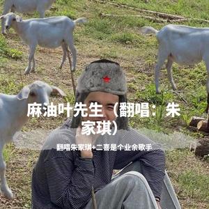 麻油叶先生
