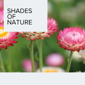 Wind-driven Heavy Rain