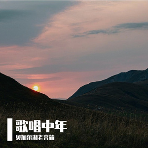 歌唱中年