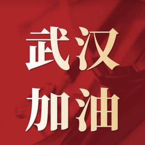 加油武汉·加油中国（特别版）