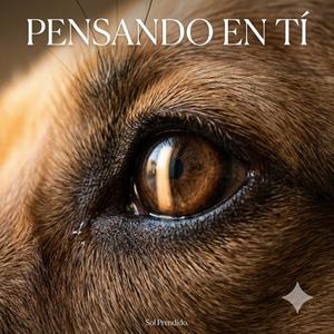 Pensando en Ti