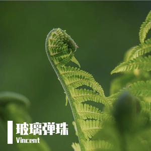 茶烟画出时间弧线