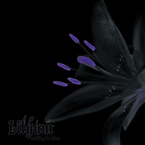 My Darkened Path (Original Mix)