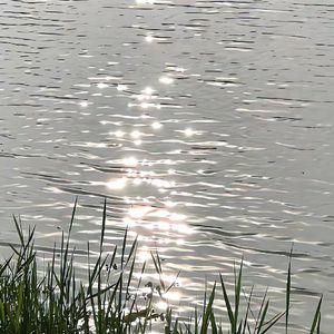 当爱在靠近-吉他版