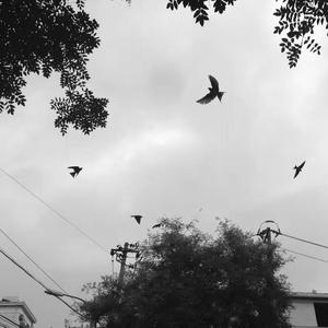 你是我一首写不完的歌