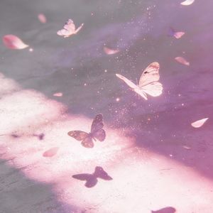 书与光（纯音乐）