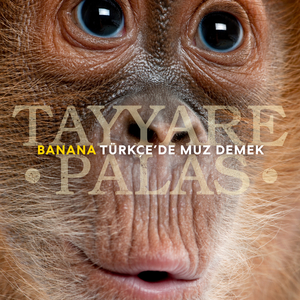 Banana Türkçe’de Muz Demek