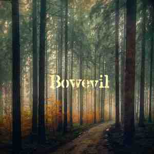 You Can Tell Me Goodbye