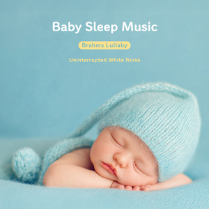 宝贝晚安 (海鸥的飞行)