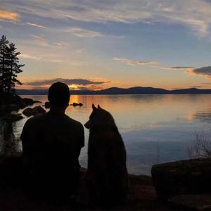 天不生无用之人