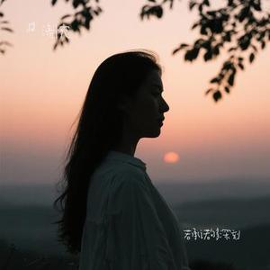 花心 (Cover 周华健)